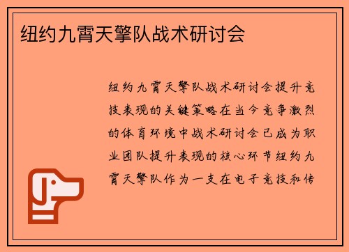 纽约九霄天擎队战术研讨会