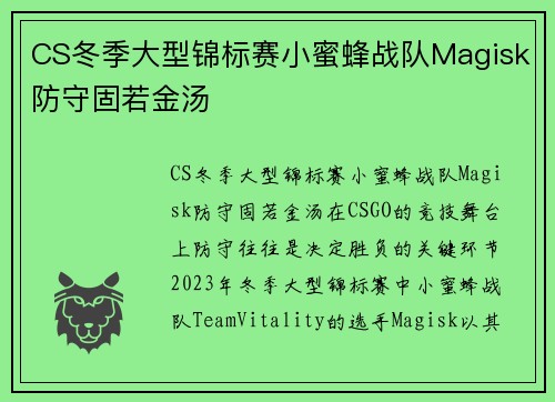 CS冬季大型锦标赛小蜜蜂战队Magisk防守固若金汤