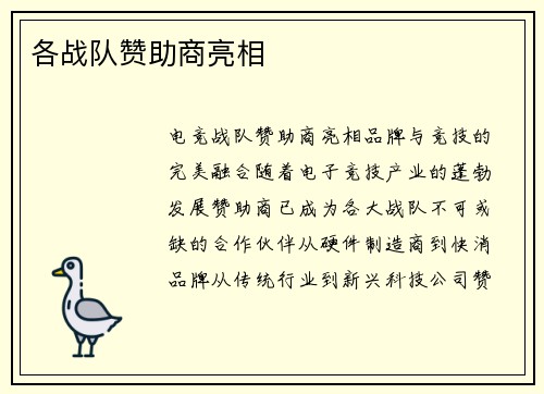 各战队赞助商亮相